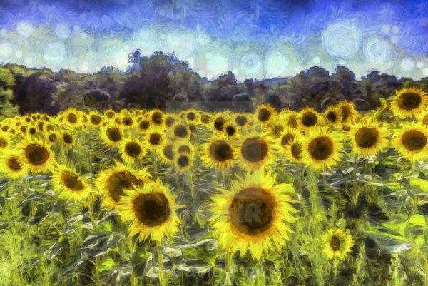 Ван Гог Подсолнухи 1887
