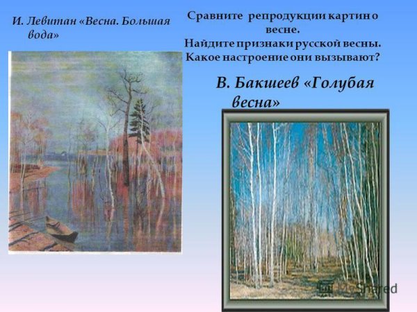 Бакшеев голубая Весна