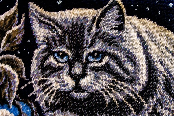 Лунный кот вышивка