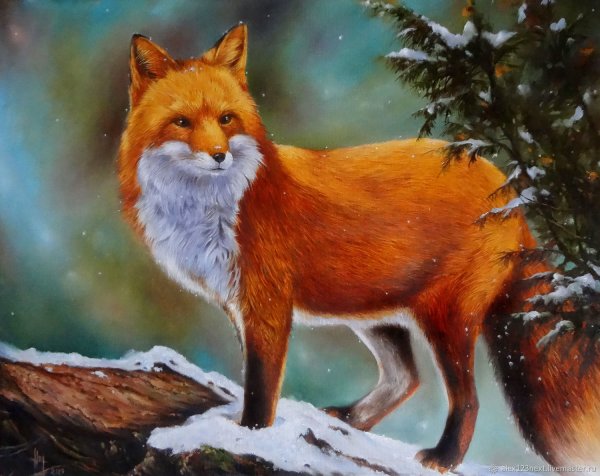 Лиса, Лисонька, Лисичка, Лисий