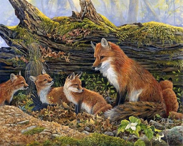 Картина лиса с лисятами Ушакова