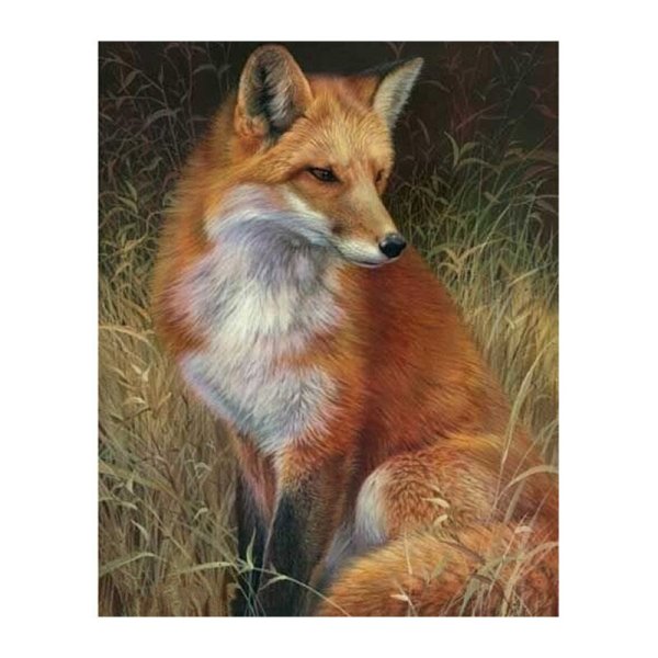 Лиса живопись