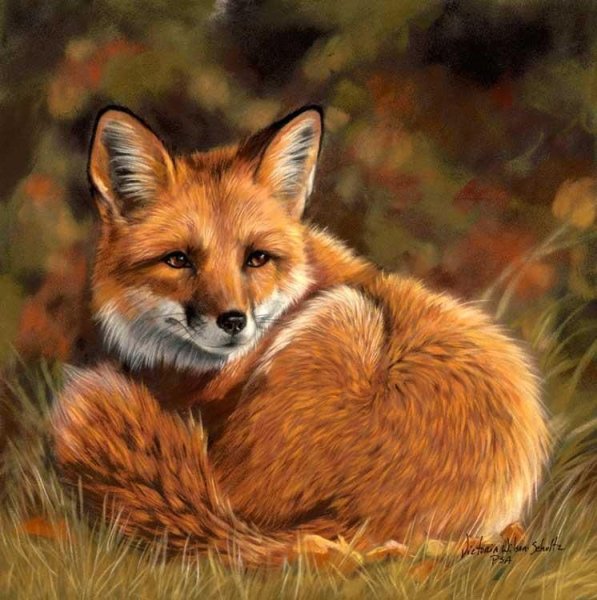 Лиса живопись с лисятами