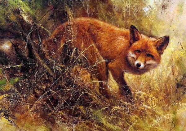 Рейн Пуртвлиет