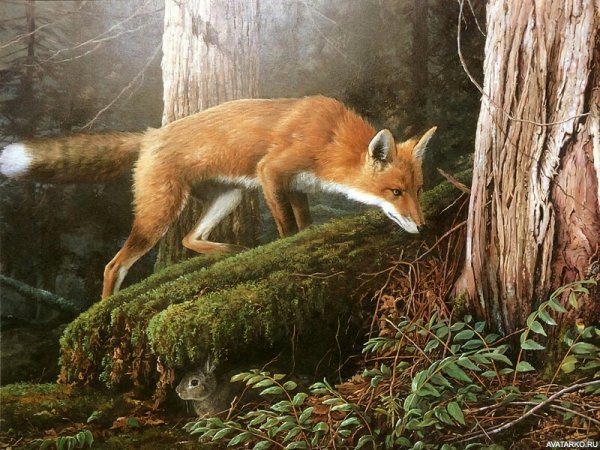 Картина животные в лесу