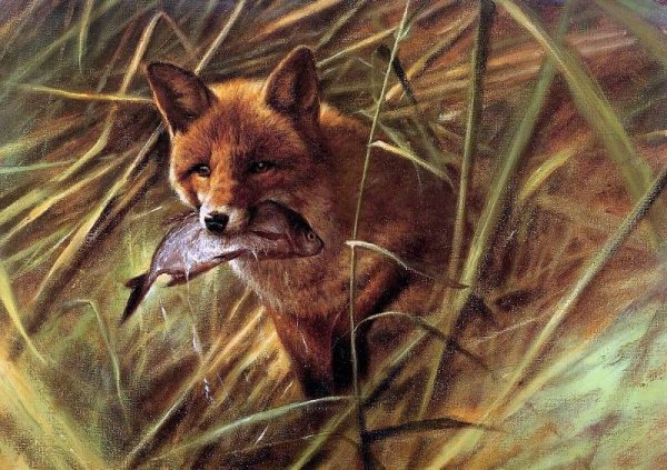 Анималистика. Рин Поортвлит, rien Poortvliet (1932 – 1995). Нидерланды.