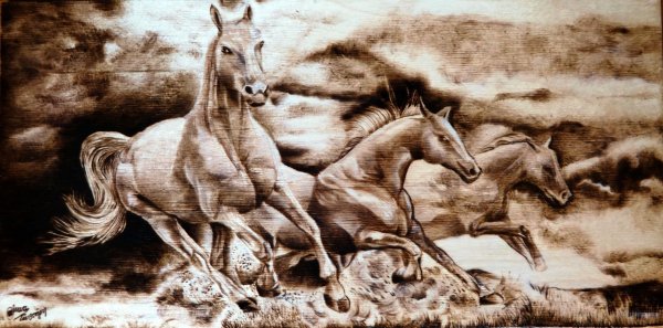 Картины выжигателем