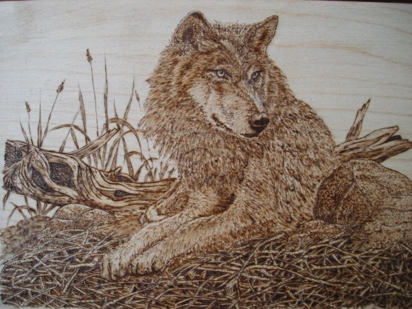 Выжигание по дереву