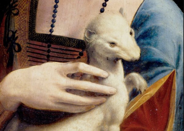 Дама с горностаем . 1485—90.