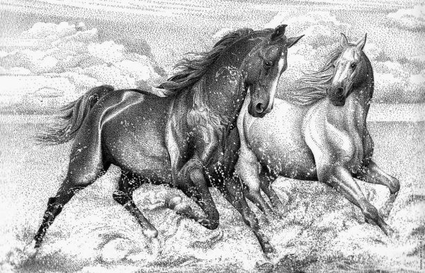 Лошадь Графика