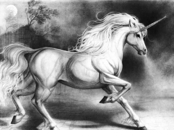 Единорог рисунок