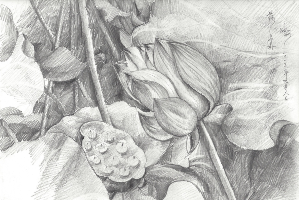 Живопись карандашом