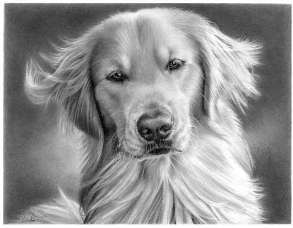 Линда Хабер (Linda Huber)