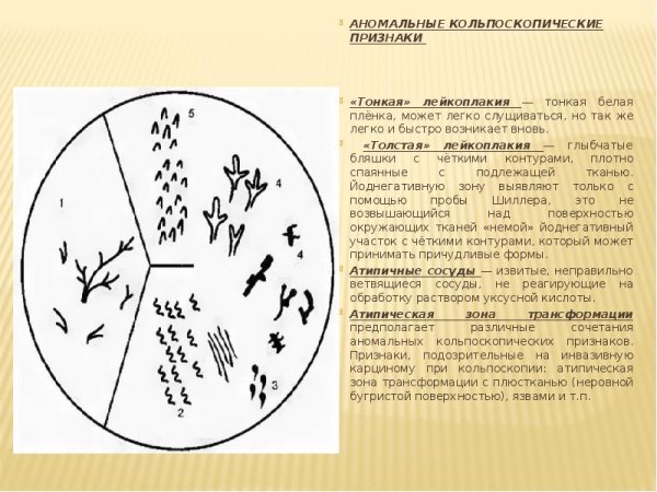 Протокол взятия биопсии шейки матки