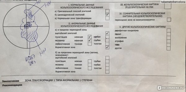 Кольпоскопия заключение