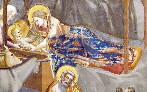 Джотто рождение Христа