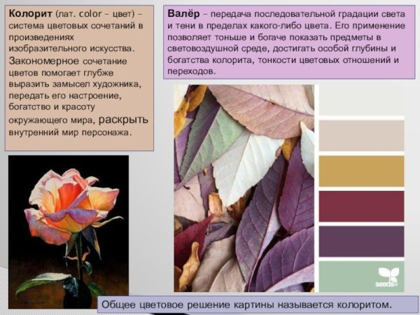 Цвет и колорит в живописи