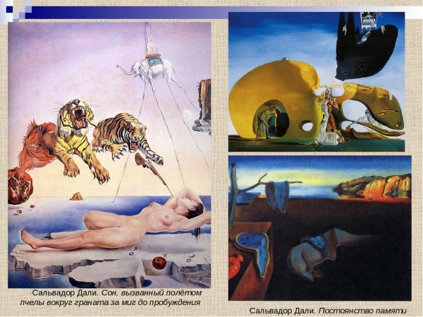 Сальвадор дали сон вызванный полётом пчелы