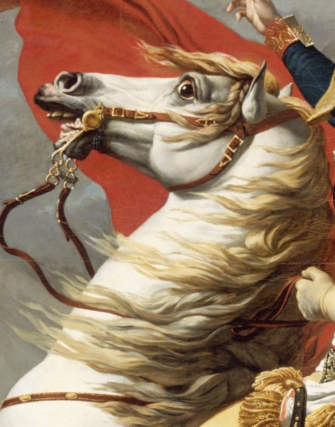 Наполеон Бонапарт на коне