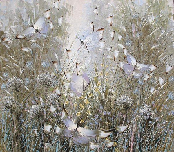 Дмитрий Кустанович бабочки