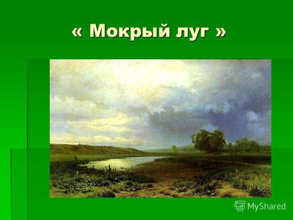 Федор Васильев мокрый луг