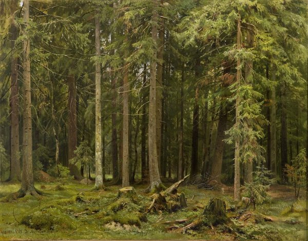 Тевтобургский лес Шишкин