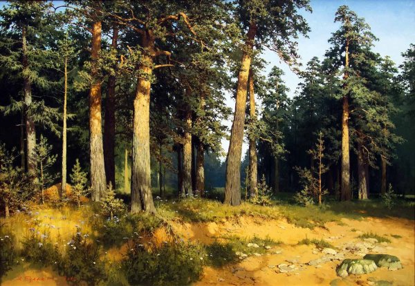 Картины Александра Булакова