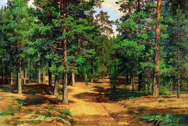 Шишкин Сестрорецкий Бор 1886