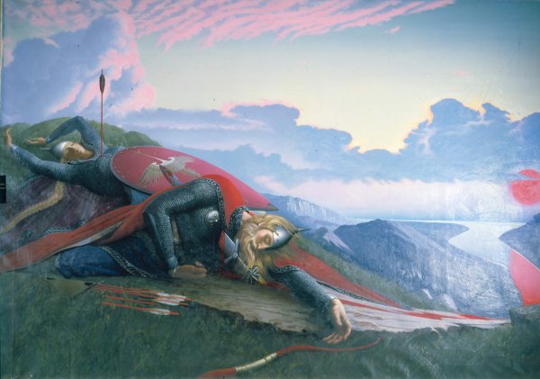 Дунай богатырь Константин Васильев