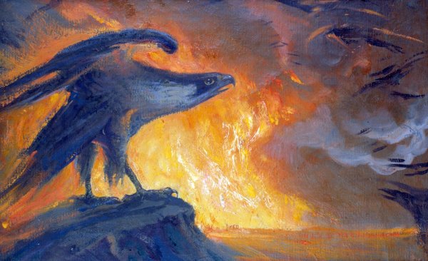 Константин Алексеевич Васильев Northern Eagle