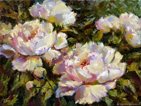 Алексей Зайцев пионы