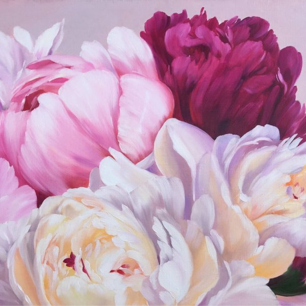 Пионы Marianne Broome