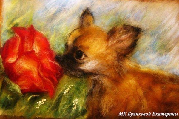 Шерстяная акварель собаки