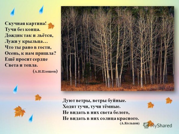 Осень скучная картина