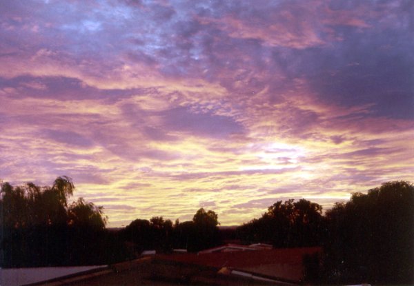 Живопись мастихином ..Дэвид Менсинг