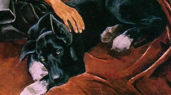 Евгений Широков друзья