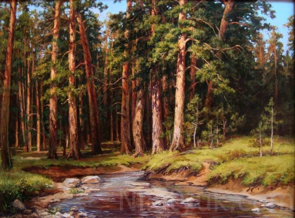 Шишкин Иван Иванович Сосновый Бор