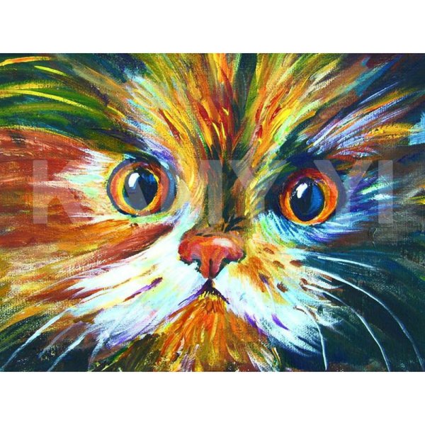 Котик красками