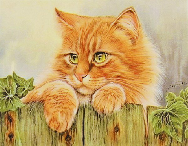 Гармашова Ирина картины