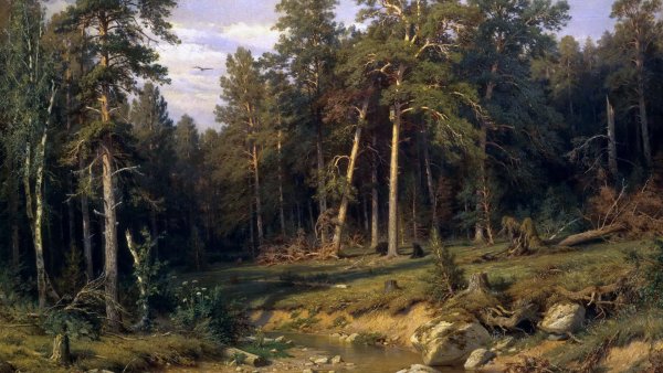 Лесной богатырь Шишкин