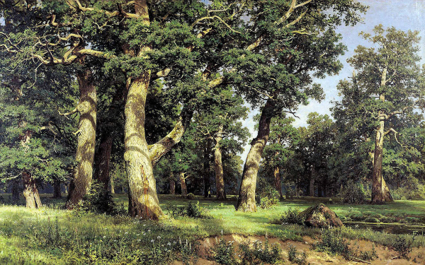 Шишкин после шторма в мери-Хови 1891