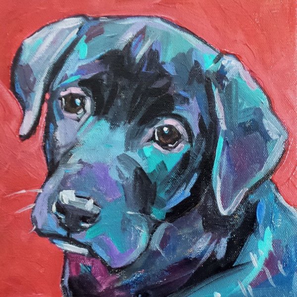 Собаки в современной живописи