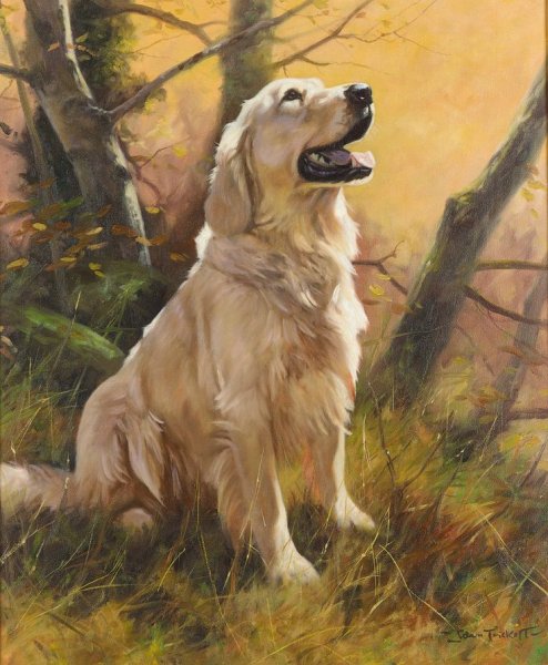 Картины с животными