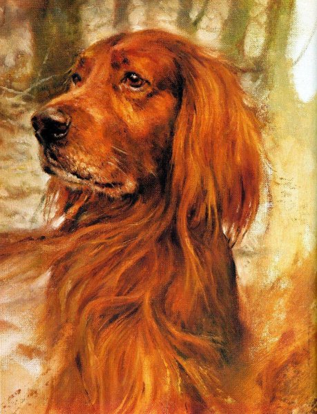 Собаки в современной живописи