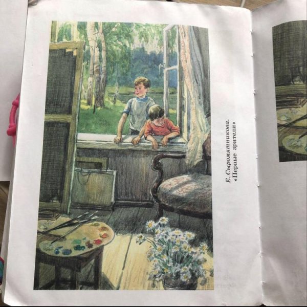 Первые зрители Сыромятникова картина