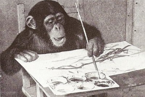 Шимпанзе-художник Конго картины