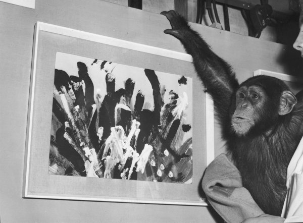 Пьер брассо картины шимпанзе