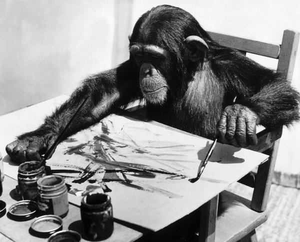 Обезьяна Конго художник