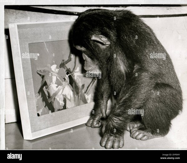 Обезьяна Конго художник