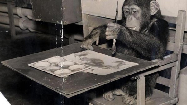 Пьер брассо картины шимпанзе